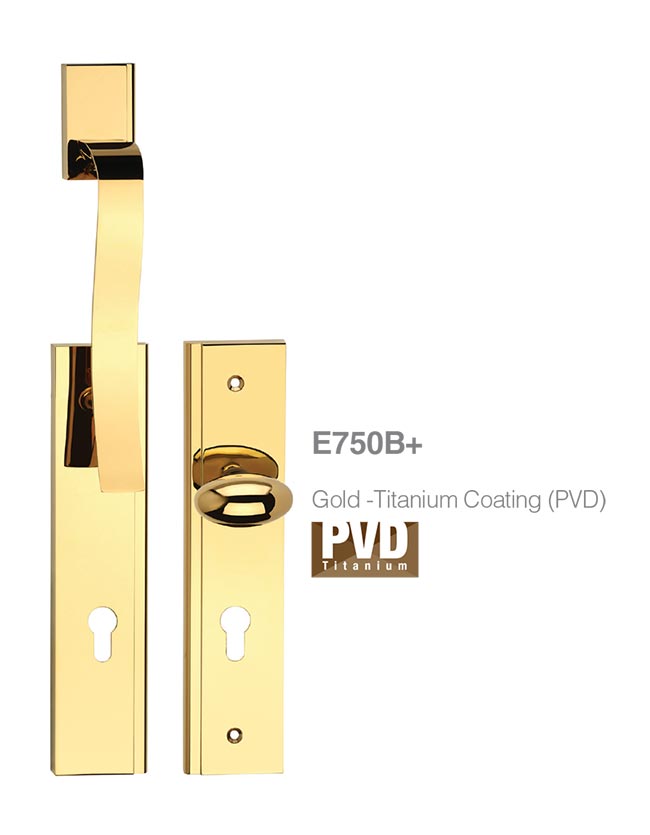 E750B+-gold Entrance Handle